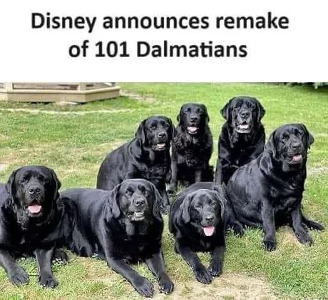 Disney announces remake
of 101 Dalmatians