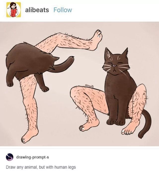 alibeats Follow
drawing-prompt-s
Draw any animal, but with human legs
Alberts