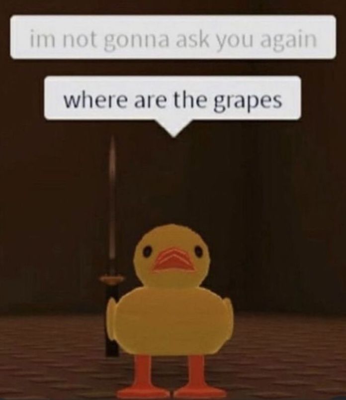 im not gonna ask you again
where are the grapes