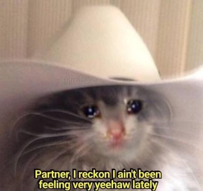 Partner, I reckon I ain't been
feeling very yeehaw lately