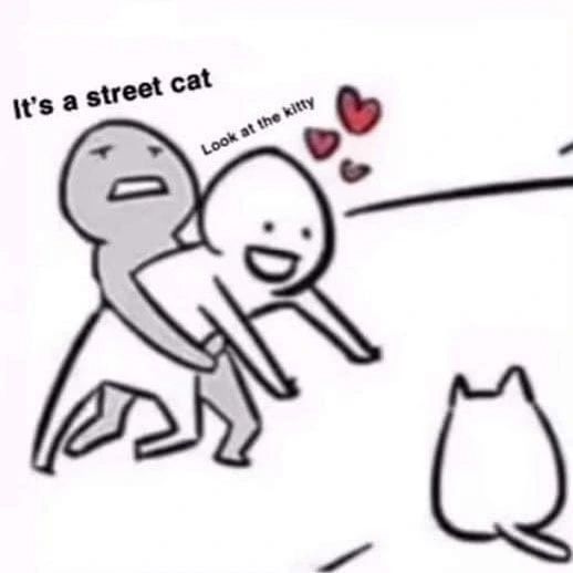 It's a street cat
Look at the kitty