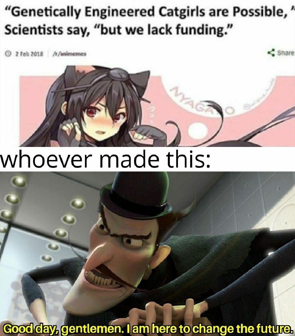 "Genetically Engineered Catgirls are Possible,
Scientists say, "but we lack funding."
2 Feb 2018 /r/animemes
NYAG
whoever made this:
00000
Share
Good day, gentlemen. I am here to change the future.