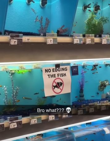 NO EDGING
THE FISH
Bro what???