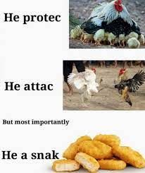 The image is divided into three sections. The top section shows a hen with chicks, accompanied by the text "He protec." The middle section depicts two roosters fighting with the text "He attac." The bottom section shows a pile of chicken nuggets with the text "But most importantly, he a snak."