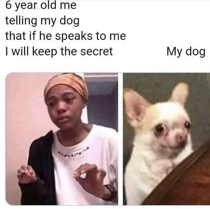 6 year old me
telling my dog
that if he speaks to me
I will keep the secret
My dog