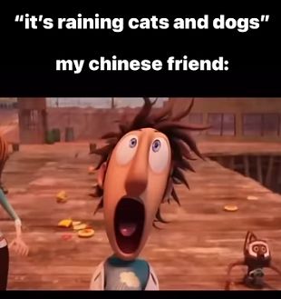 "it's raining cats and dogs"
my chinese friend: