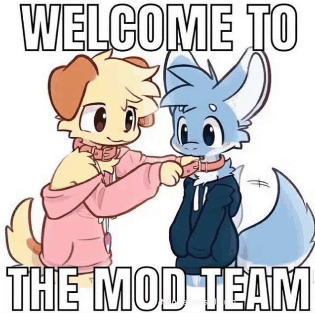 WELCOME TO
THE MOD TEAM