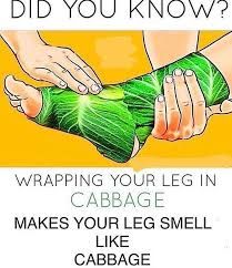 DID YOU KNOW?
WRAPPING YOUR LEG IN
CABBAGE
MAKES YOUR LEG SMELL
LIKE
CABBAGE
