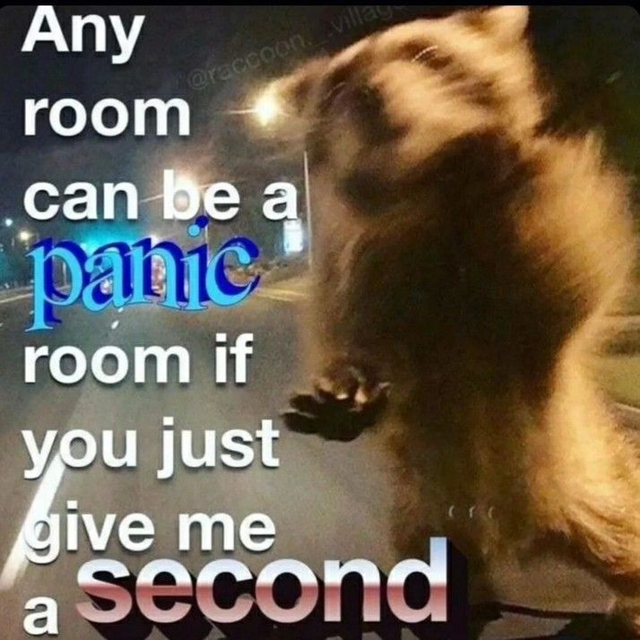 Any
room
@raccoon villay
can be a
panie
room if
you just
give me
a second