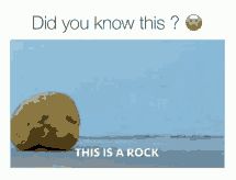 Did you know this?
THIS IS A ROCK