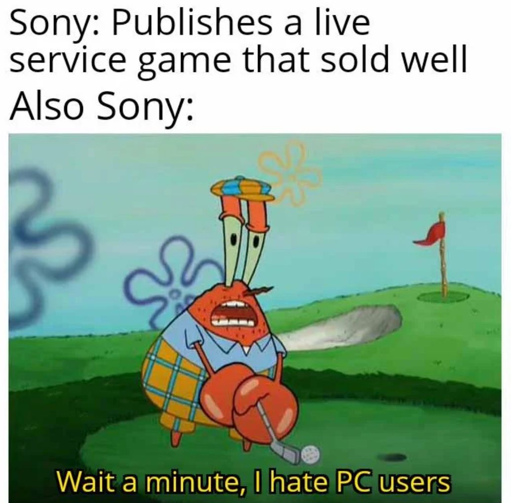 Sony: Publishes a live.
service game that sold well
Also Sony:
Wait a minute, I hate PC users