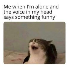 Me when I'm alone and
the voice in my head
says something funny