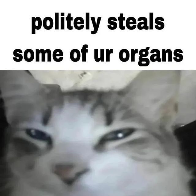 politely steals
some of ur organs