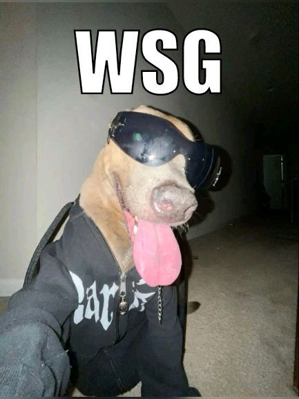 WSG