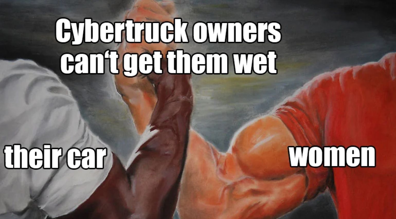 Cybertruck owners
can't get them wet
their car
women