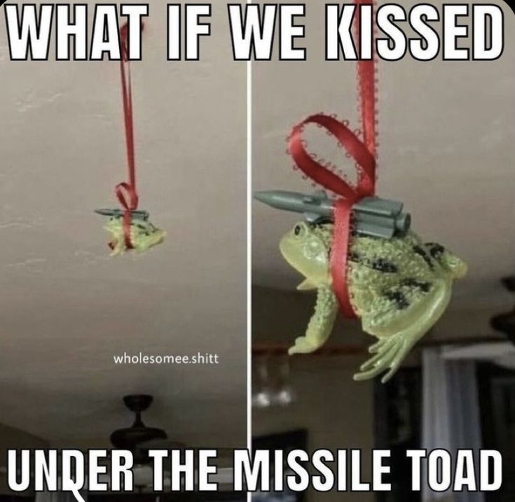 WHAT IF WE KISSED
wholesomee.shitt
UNDER THE MISSILE TOAD