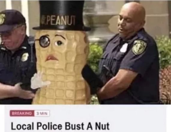 PEANUT
BREAKING 3 MIN
Local Police Bust A Nut