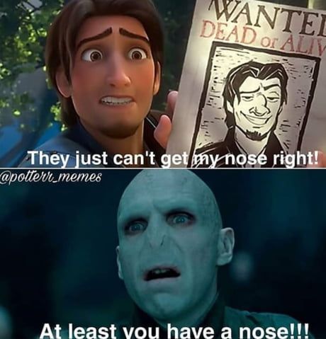WANTED
DEAD or ALIV
They just can't get my nose right!
@potterr_memes
At least you have a nose!!!