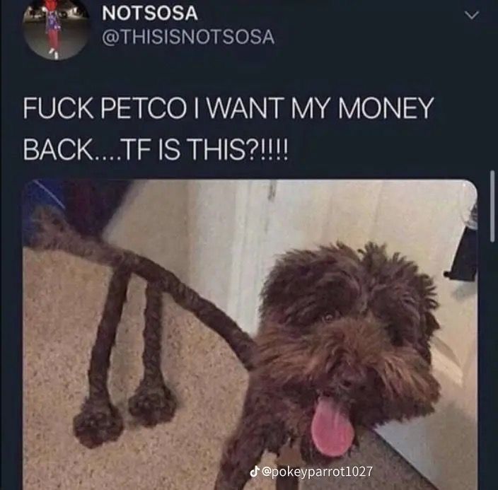 NOTSOSA
@THISISNOTSOSA
FUCK PETCO I WANT MY MONEY
BACK....TF IS THIS?!!!!
@pokeyparrot1027