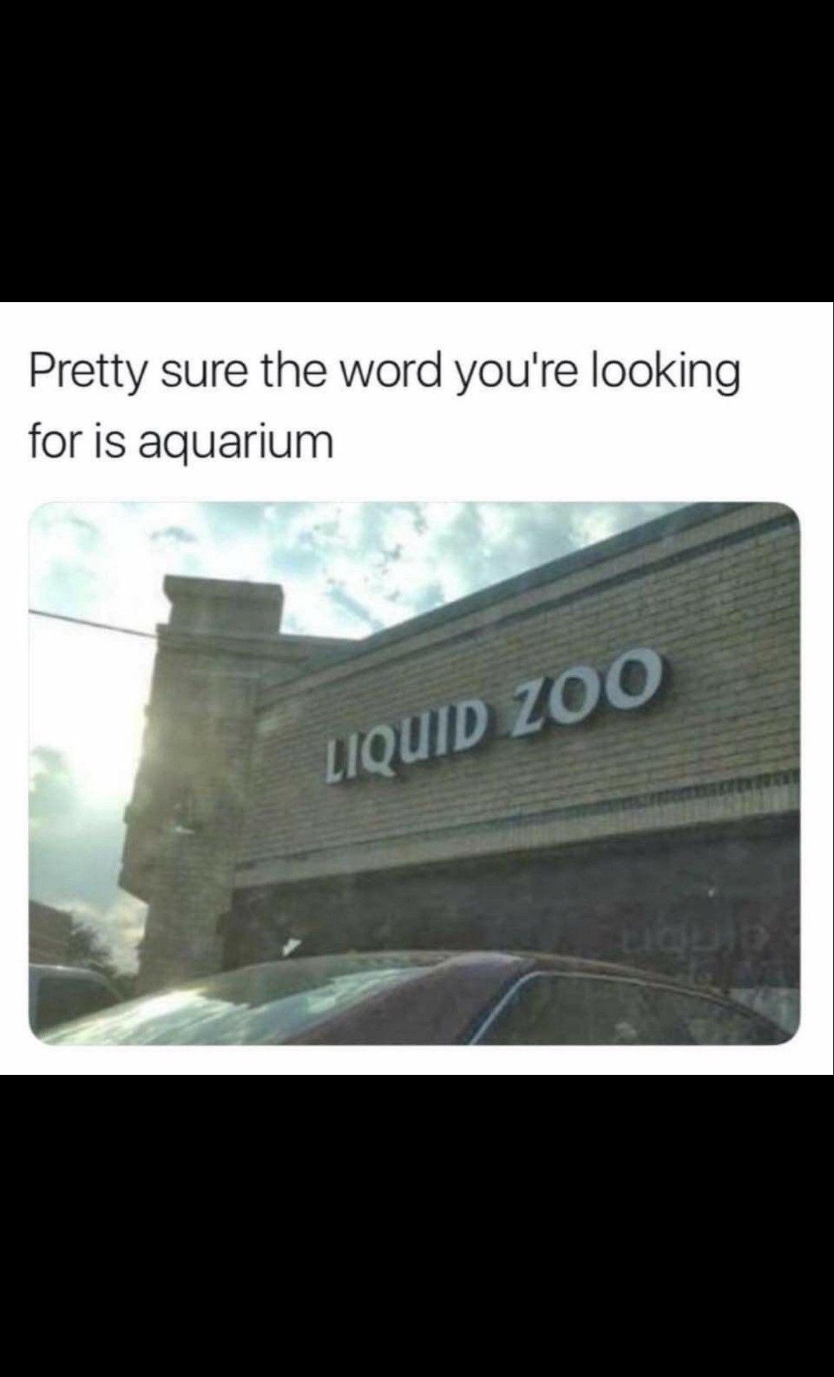 Pretty sure the word you're looking
for is aquarium
LIQUID ZOO
