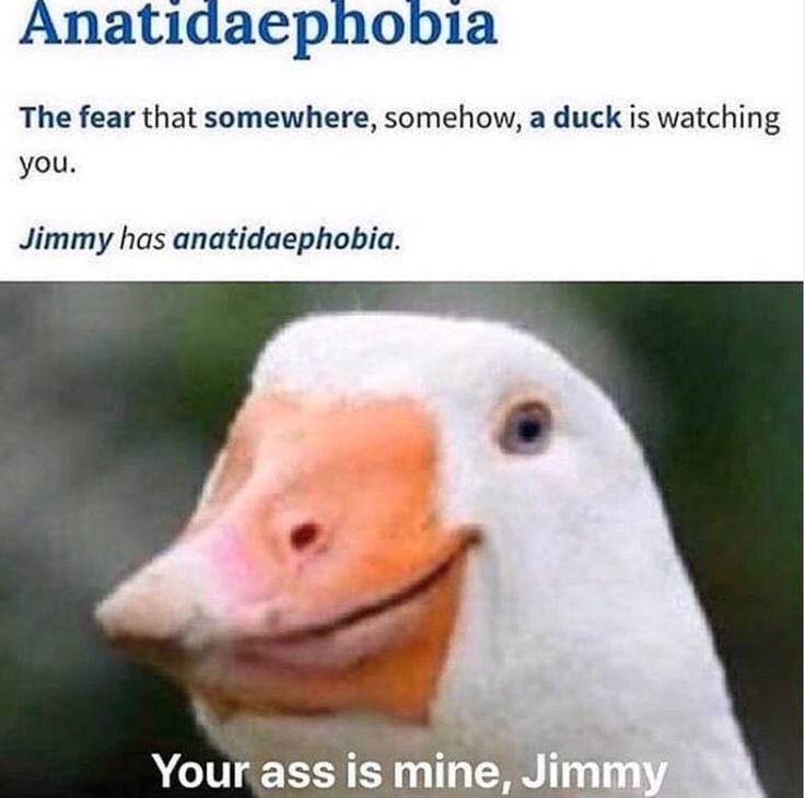 Anatidaephobia
The fear that somewhere, somehow, a duck is watching
you.
Jimmy has anatidaephobia.
Your ass is mine, Jimmy