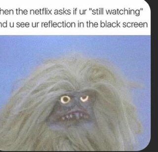 hen the netflix asks if ur "still watching"
nd u see ur reflection in the black screen