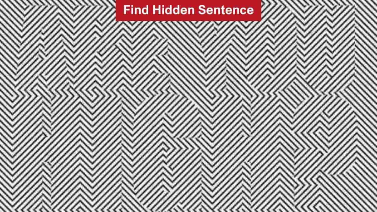 Find Hidden Sentence