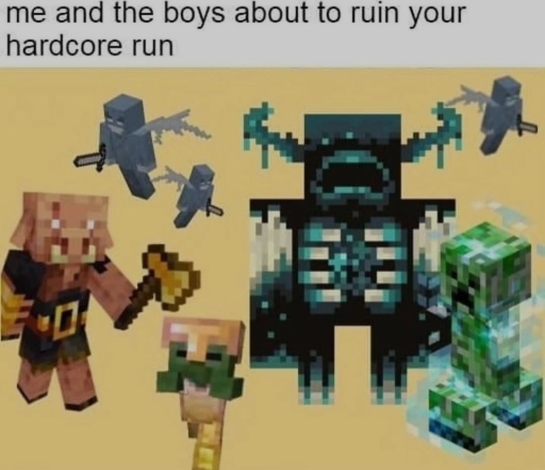 me and the boys about to ruin your
hardcore run