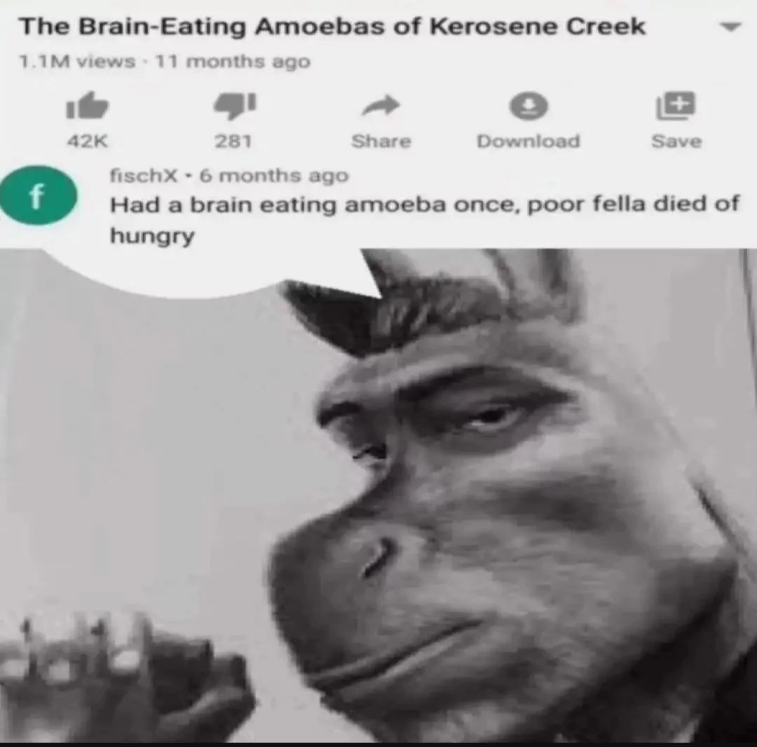 The Brain-Eating Amoebas of Kerosene Creek
1.1M views - 11 months ago
42K
f
281
Share
Download
+
Save
fischX - 6 months ago
Had a brain eating amoeba once, poor fella died of
hungry