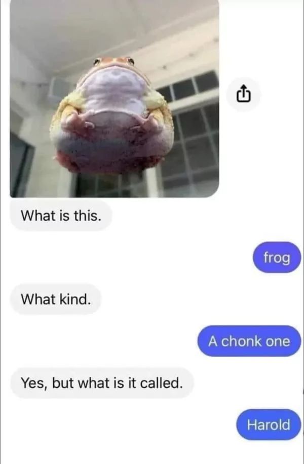 What is this.
What kind.
<<
frog
Yes, but what is it called.
A chonk one
Harold