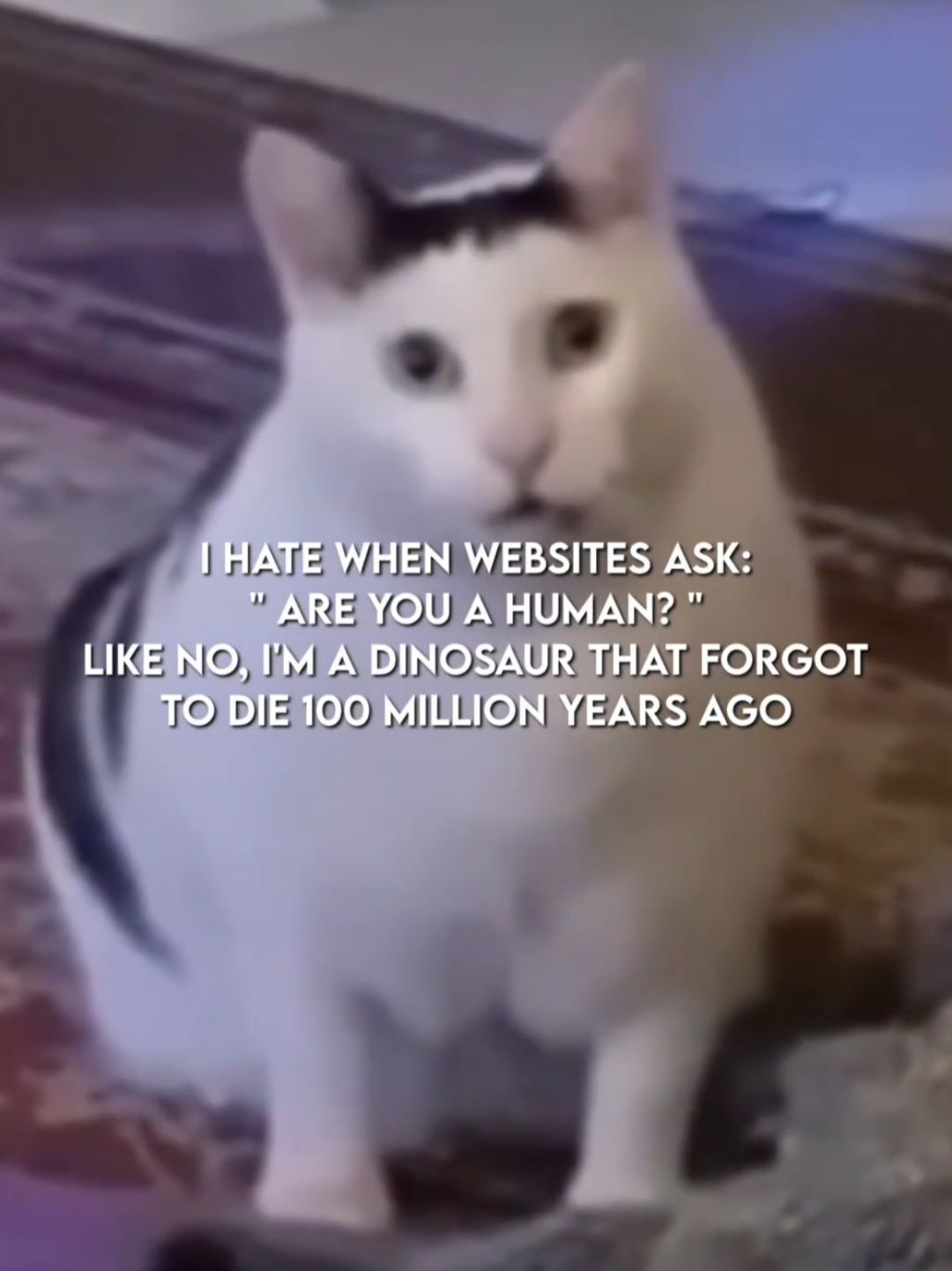 I HATE WHEN WEBSITES ASK:
"ARE YOU A HUMAN?"
LIKE NO, I'M A DINOSAUR THAT FORGOT
TO DIE 100 MILLION YEARS AGO