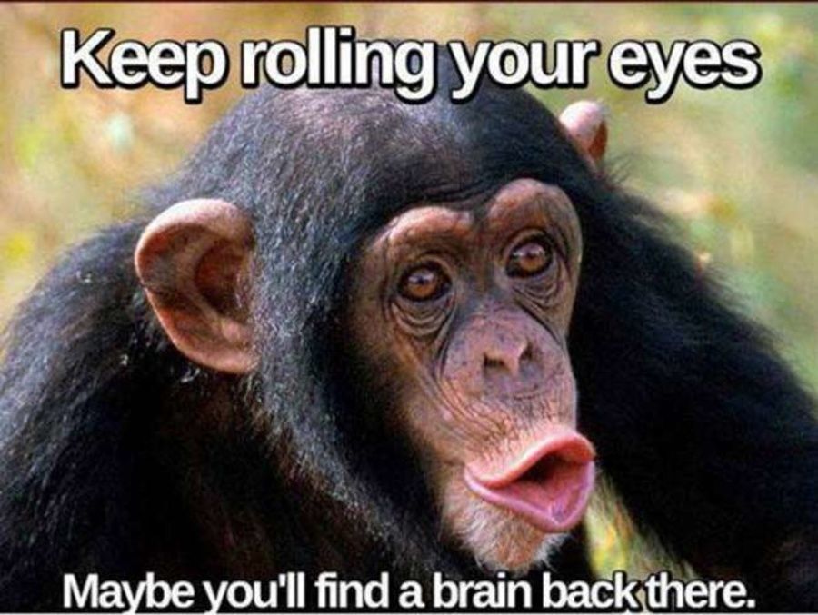 Keep rolling your eyes
Maybe you'll find a brain back there.