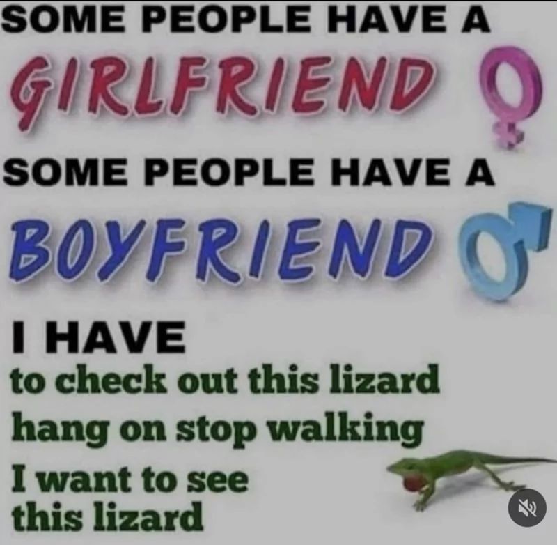 SOME PEOPLE HAVE A
GIRLFRIEND
SOME PEOPLE HAVE A
BOYFRIEND O
I HAVE
to check out this lizard
hang on stop walking
I want to see
this lizard
71