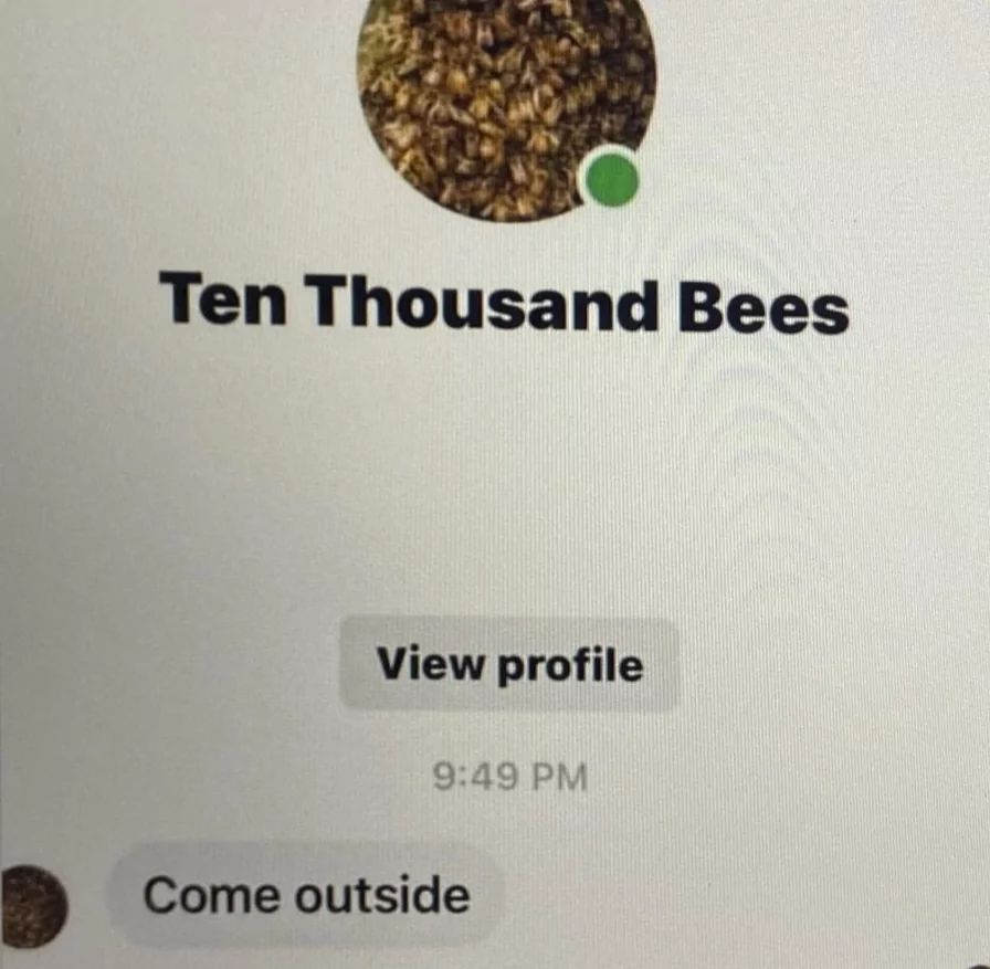 Ten Thousand Bees
View profile
9:49 PM
Come outside