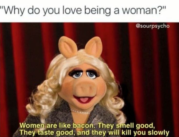 "Why do you love being a woman?"
@sourpsycho
Women are like bacon. They smell good,
They taste good, and they will kill you slowly