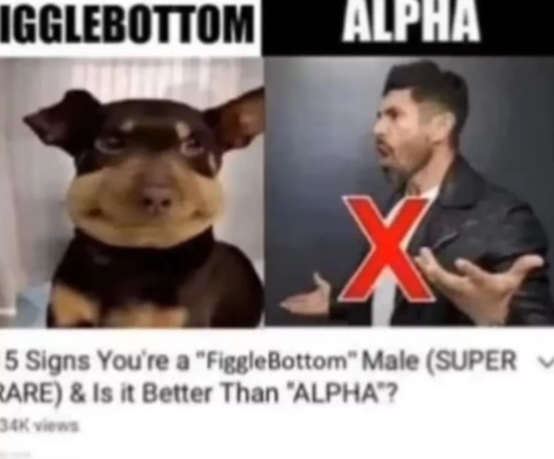 IGGLEBOTTOM
ALPHA
5 Signs You're a "FiggleBottom" Male (SUPER
RARE) & Is it Better Than "ALPHA"?
34K views