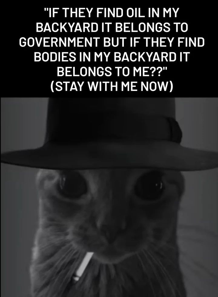 "IF THEY FIND OIL IN MY
BACKYARD IT BELONGS TO
GOVERNMENT BUT IF THEY FIND
BODIES IN MY BACKYARD IT
BELONGS TO ME??"
(STAY WITH ME NOW)