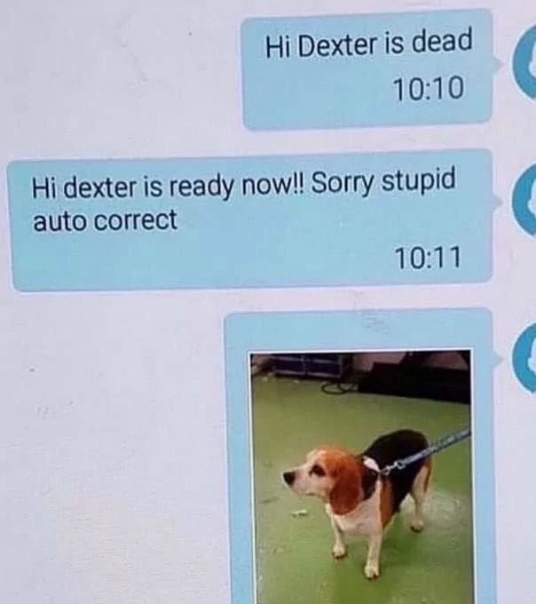 Hi Dexter is dead
10:10
Hi dexter is ready now!! Sorry stupid
auto correct
10:11