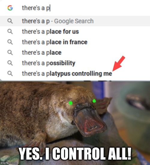 G
there's a pl
Q
there's a p- Google Search
Q there's a place for us
a there's a place in france
Qthere's a place
there's a possibility
Qthere's a platypus controlling me

YES. I CONTROL ALL!