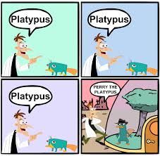 Platypus
Platypus
DEAL
Platypus
PERRY THE
PLATYPUS