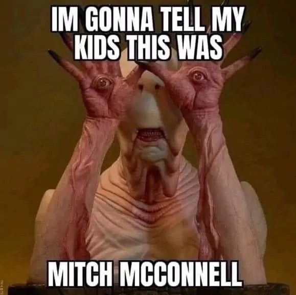 IM GONNA TELL MY
KIDS THIS WAS
MITCH MCCONNELL