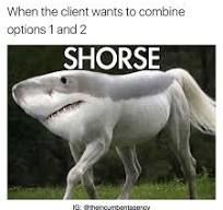 When the client wants to combine
options 1 and 2
SHORSE
10