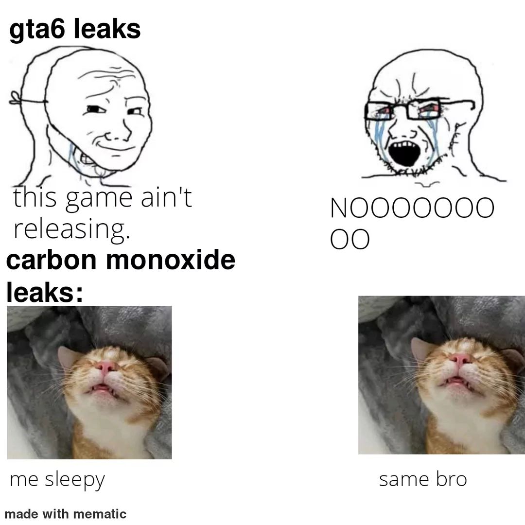 gta6 leaks
this
game ain't
NOOOOOOO
releasing.
OO
carbon monoxide
leaks:
me sleepy
made with mematic
same bro