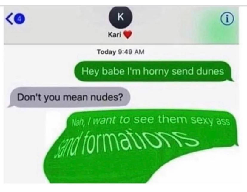 Kari
K
Today 9:49 AM
Hey babe I'm horny send dunes
Don't you mean nudes?
Nah, I want to see them sexy ass
and formations