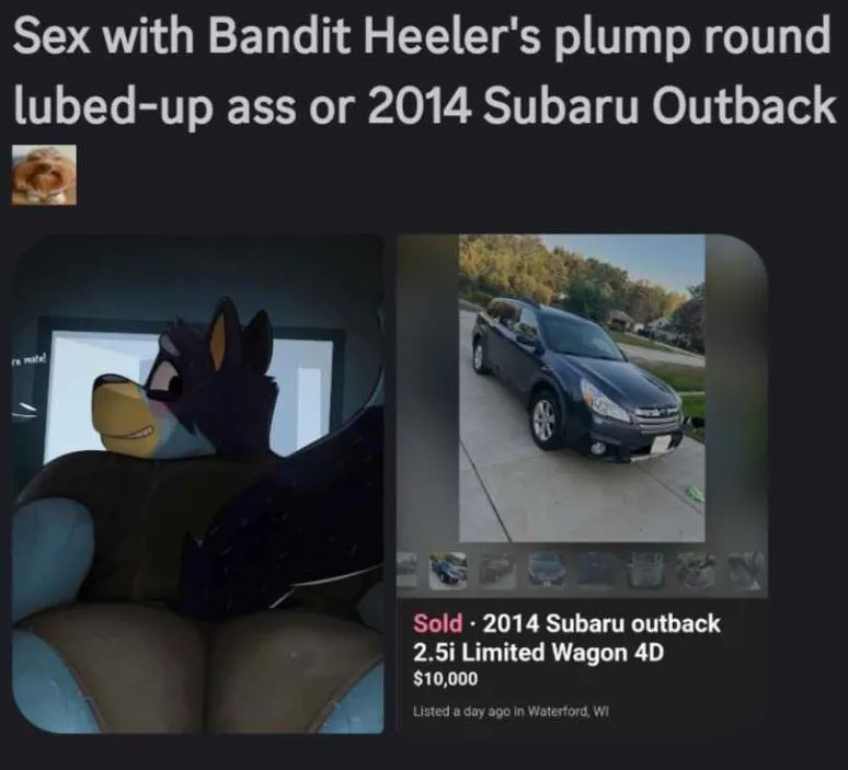 Sex with Bandit Heeler's plump round
lubed-up ass or 2014 Subaru Outback
Sold 2014 Subaru outback
2.5i Limited Wagon 4D
$10,000
Listed a day ago in Waterford, WI