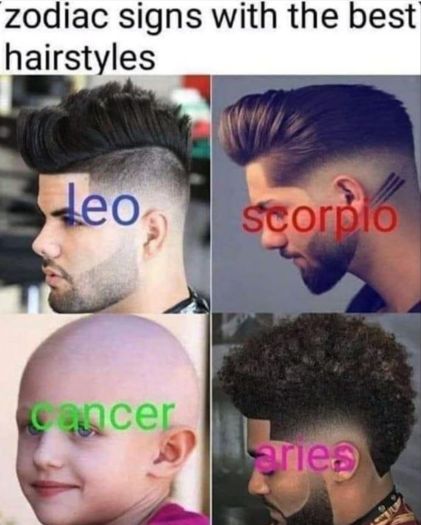 zodiac signs with the best
hairstyles
Leo scorpio
ancer
ries