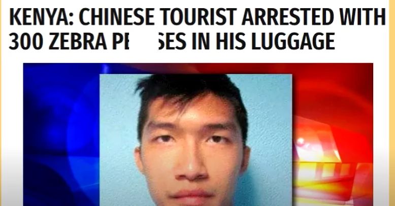 KENYA: CHINESE TOURIST ARRESTED WITH
300 ZEBRA PE SES IN HIS LUGGAGE