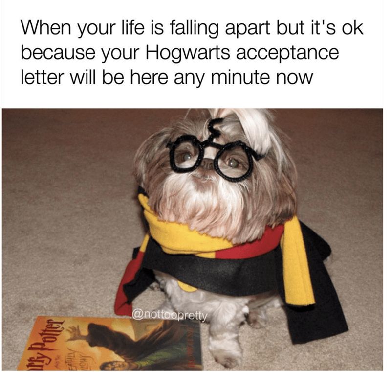 My Potter
22
HLY
When your life is falling apart but it's ok
because your Hogwarts acceptance
letter will be here any minute now
@nottoopretty