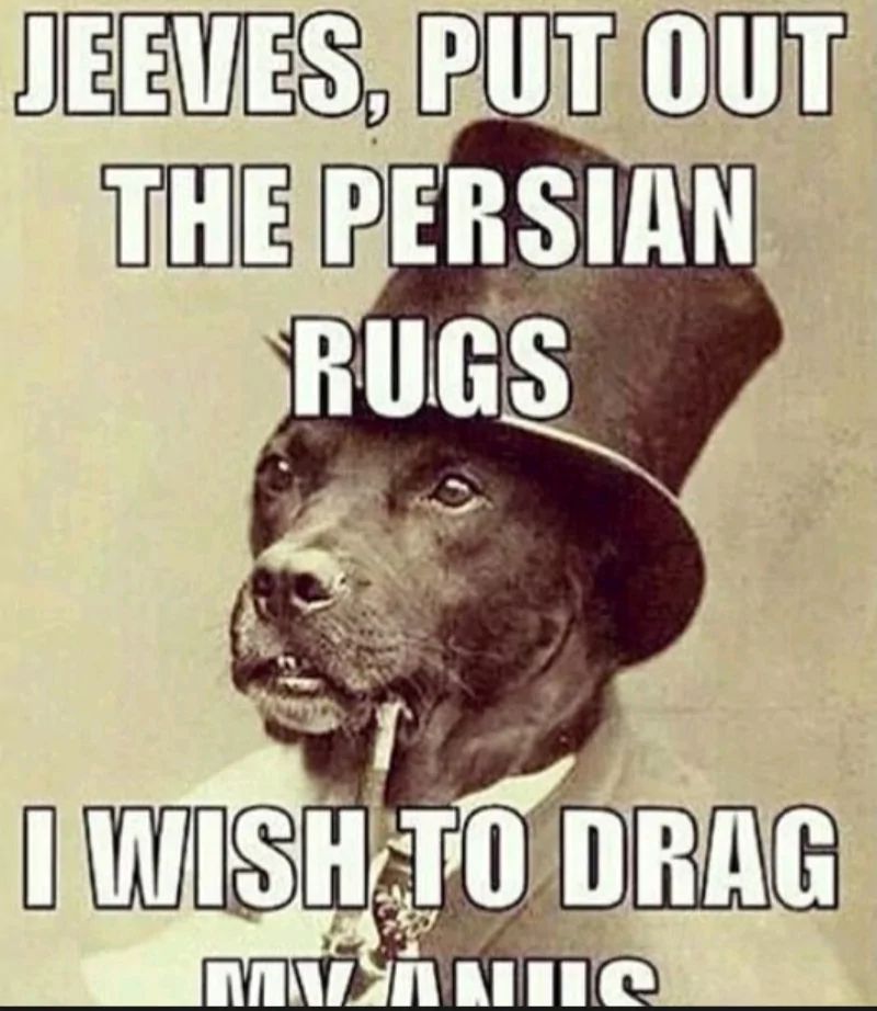 JEEVES, PUT OUT
THE PERSIAN
RUGS
I WISH TO DRAG
MANNS