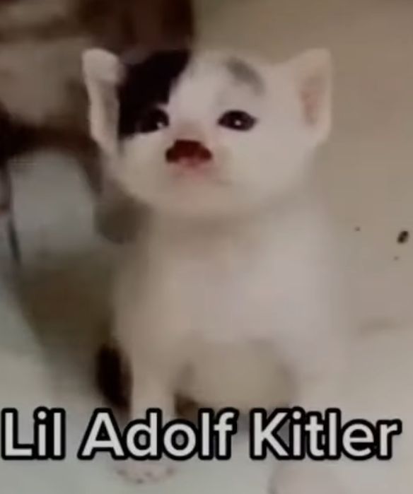 Lil Adolf Kitler